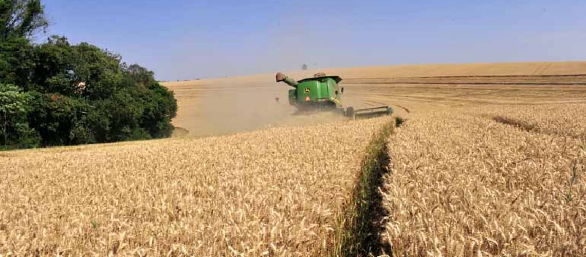 Máquinas agrícolas trabalhando no campo | Foto:Marcos Zanutto/13-09-2017